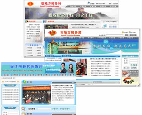 地方稅務局互聯網網站軟件開發與系統集成服務 賦能智慧稅務新生態